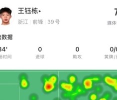 王钰栋本场数据：3次尝试过人成功1次，3射1正，获评7分